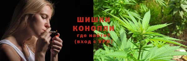 каннабис Корсаков