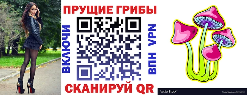 Купить закладки  Мегион  Псилоцибиновые грибы прущие грибы 